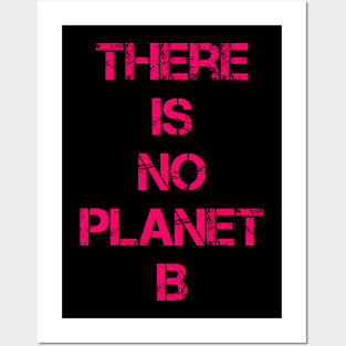 PLANET B 45 Posters and Art